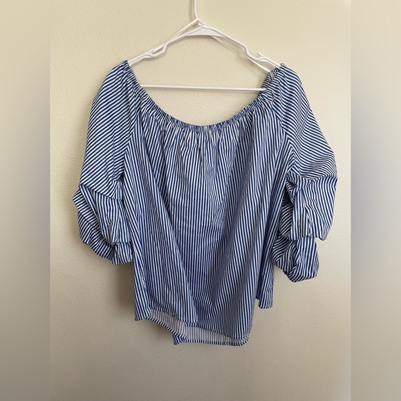 Ambiance Blue and White Striped Blouse - Picture 1 of 8